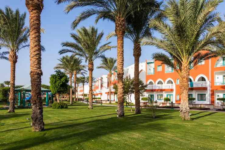 Hotel Egitto (Depositphotos) - solofinanza.it